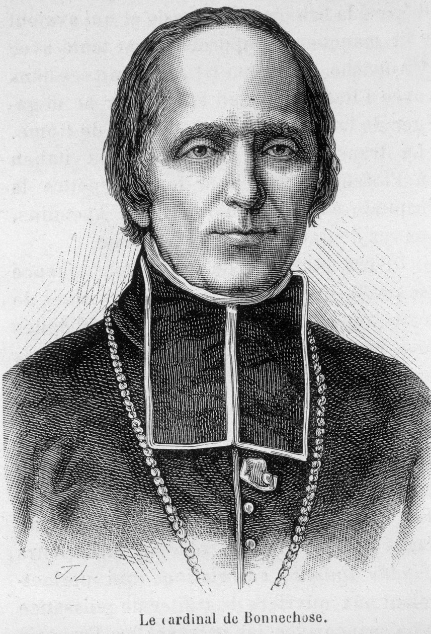 Portrett av kardinal de Bonnechose av Unknown artist