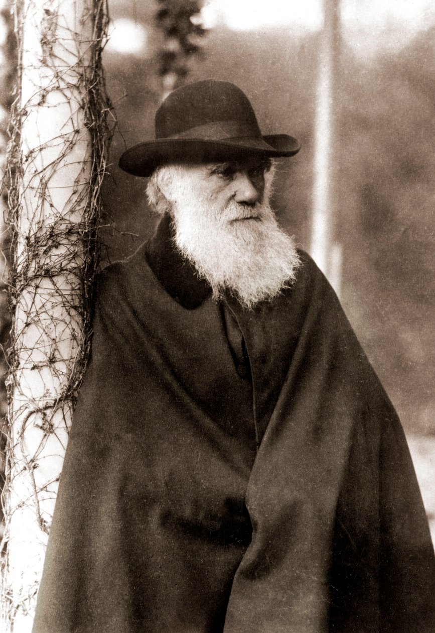 Portrait of Charles Darwin (1809-1882) av Unknown artist