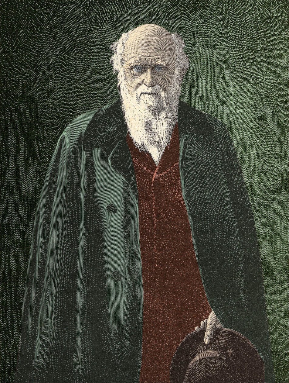 Portrait of Charles Darwin (1809 - 1882) av Unknown artist