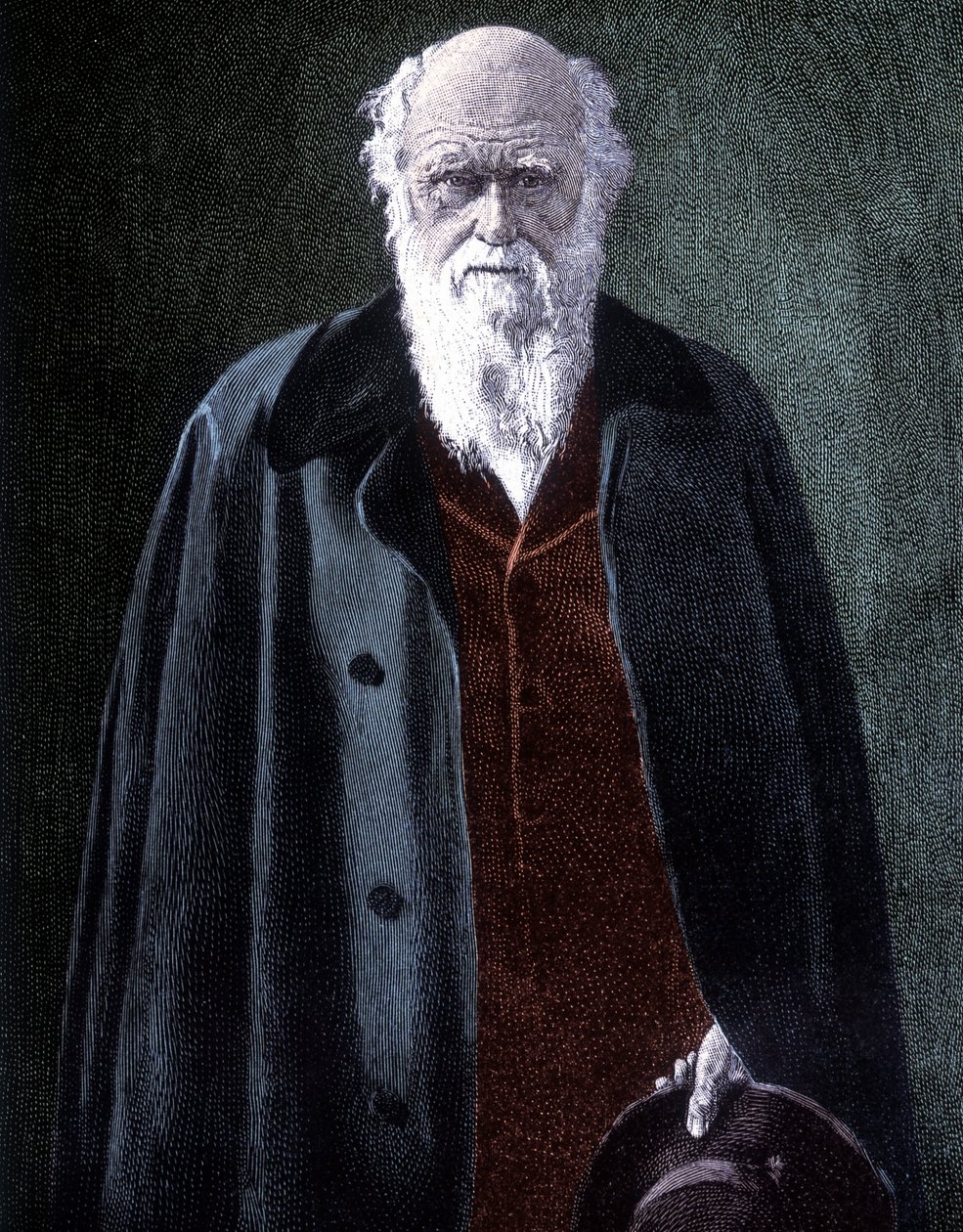 Portrait of Charles Darwin, British naturalist (1809 - 1882) av Unknown artist