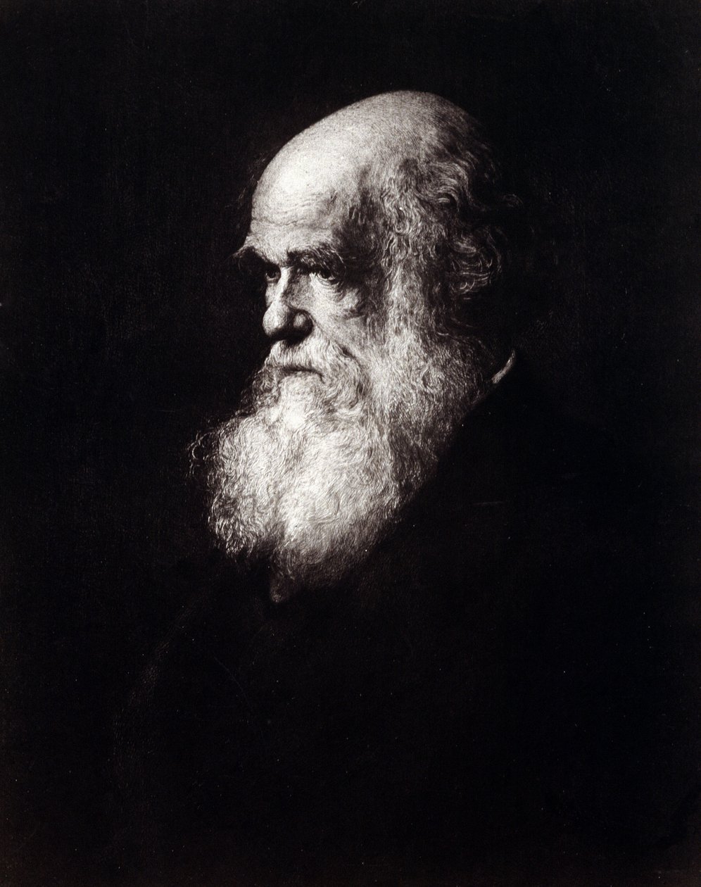 Portrett av Charles Robert Darwin (1809 - 1882) av Unknown artist