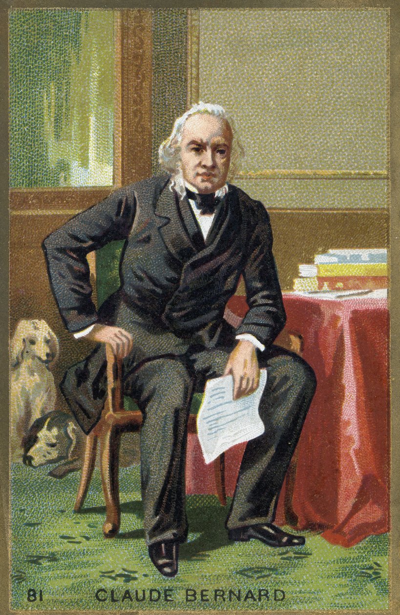 Portrait of Claude Bernard (1813-1878), French physiologist. av Unknown artist