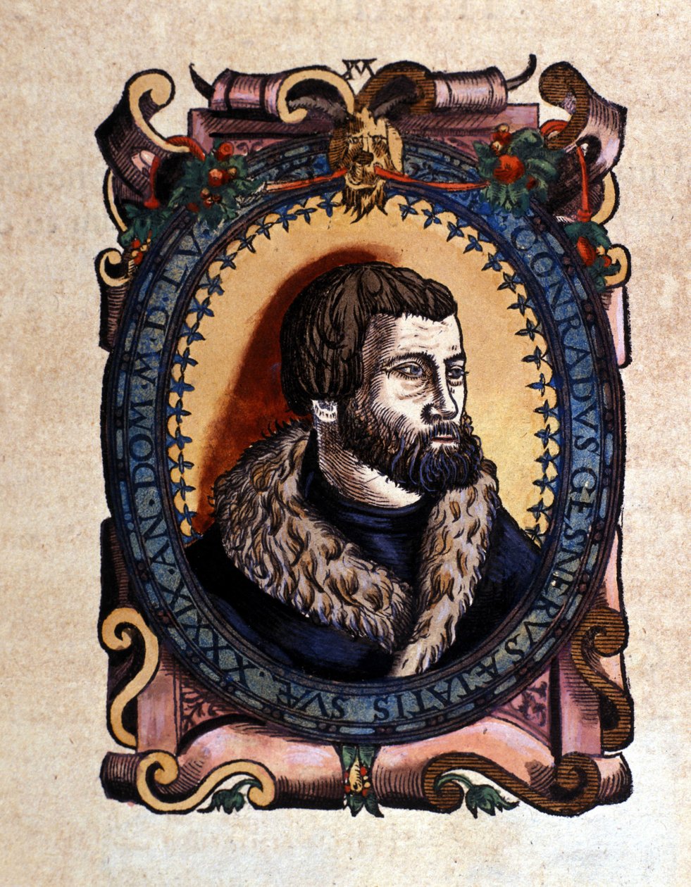 Portrett av Conrad Gesner (1516 - 1565) Zürich-lege etter Historia Animalium av Conrad Gesner, Tiguri 1560. Biblioteca Nazionale Braidense. Milan av Unknown artist