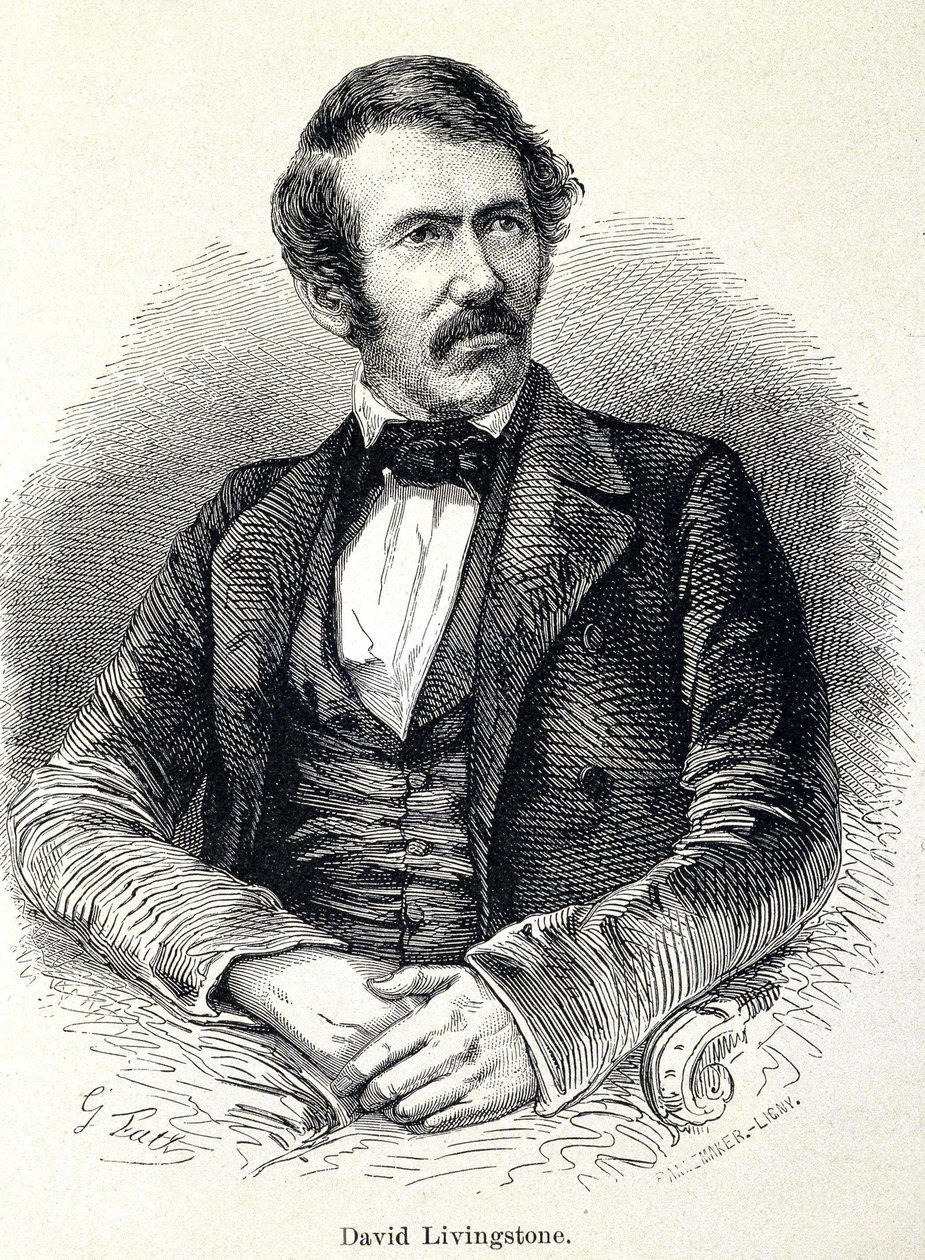 Portrait of David Livingstone, Scottish missionary (1813-1873) av Unknown artist