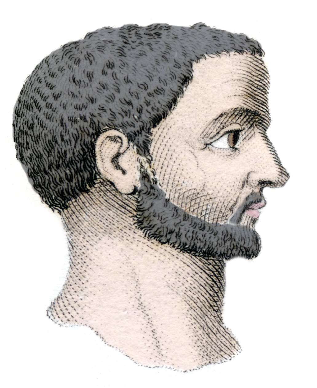 Portrett av Diokletian (Gaius Aurelius Valerius Diocletianus, 245-316), romersk keiser fra 284 til 305. Gravering fra 1800-tallet. av Unknown artist
