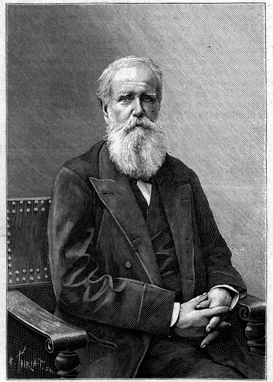 Portrett av Dom Pedro II av Alcantara (Peter II) (1825-1891), keiser av Brasil. (Fra et fotografi av Nadar). Gravering i "" Nature: gjennomgang av vitenskapene og deres anvendelser på kunst og industri "" av 12. desember 1891. av Unknown artist