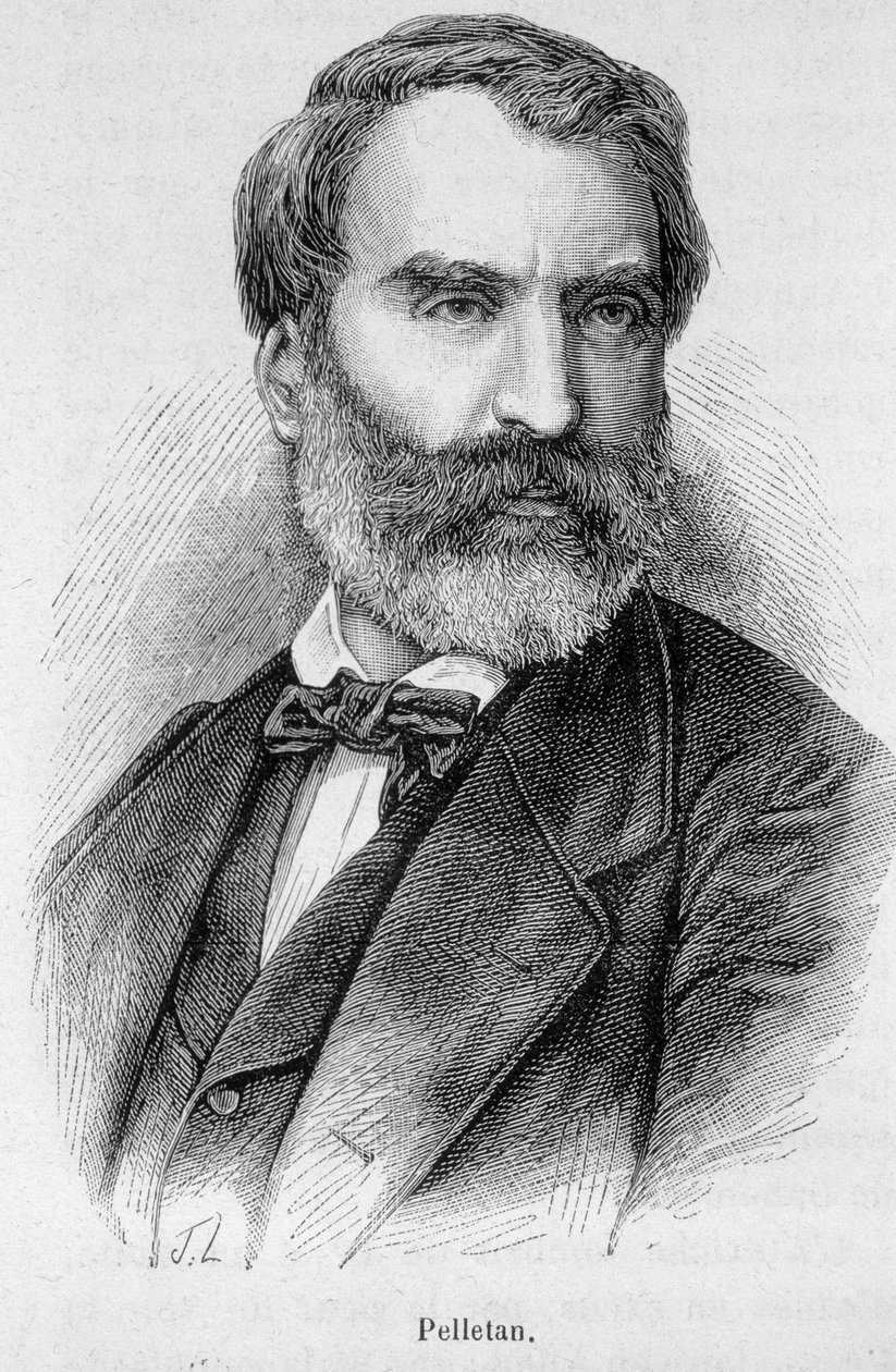 Portrett av Eugene Pelletan (1813-1884), fransk journalist, forfatter og politiker. av Unknown artist