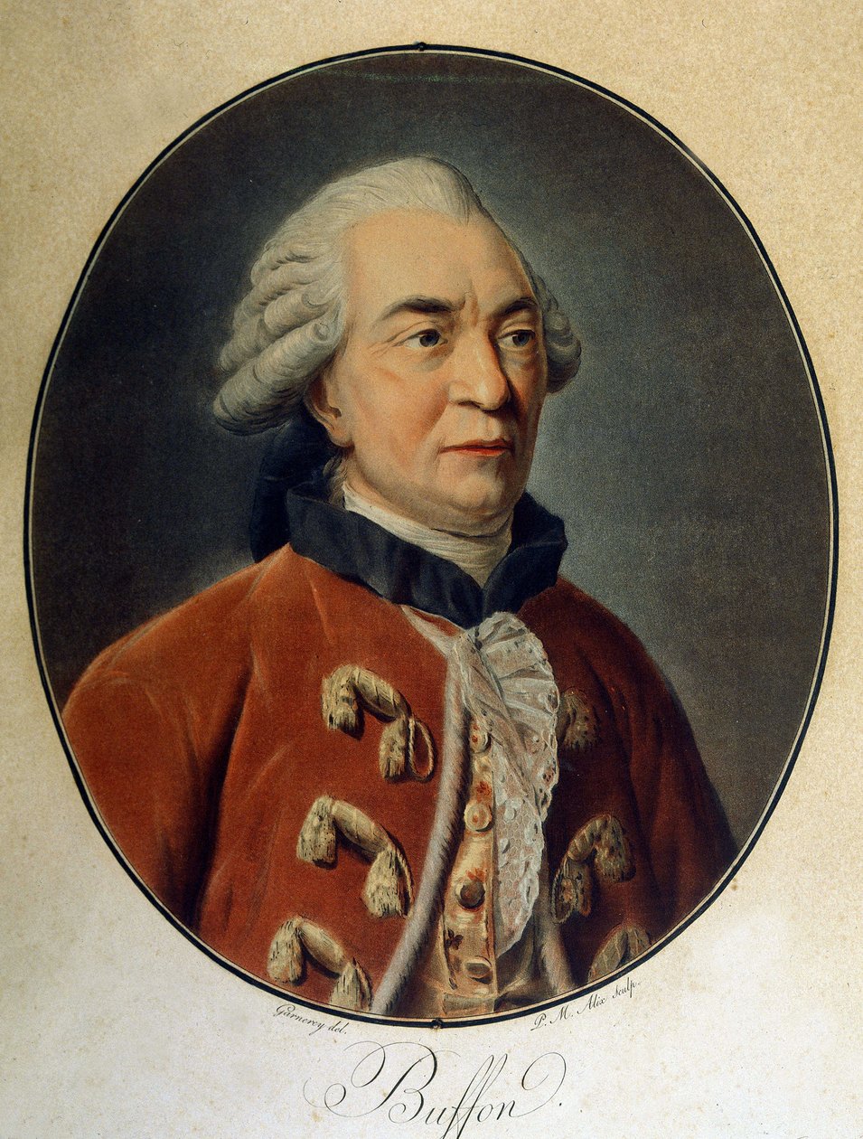 Portrett av Georges Louis Leclerc, greve av Buffon (1707 - 1788), fransk naturforsker og forfatter. av Unknown artist