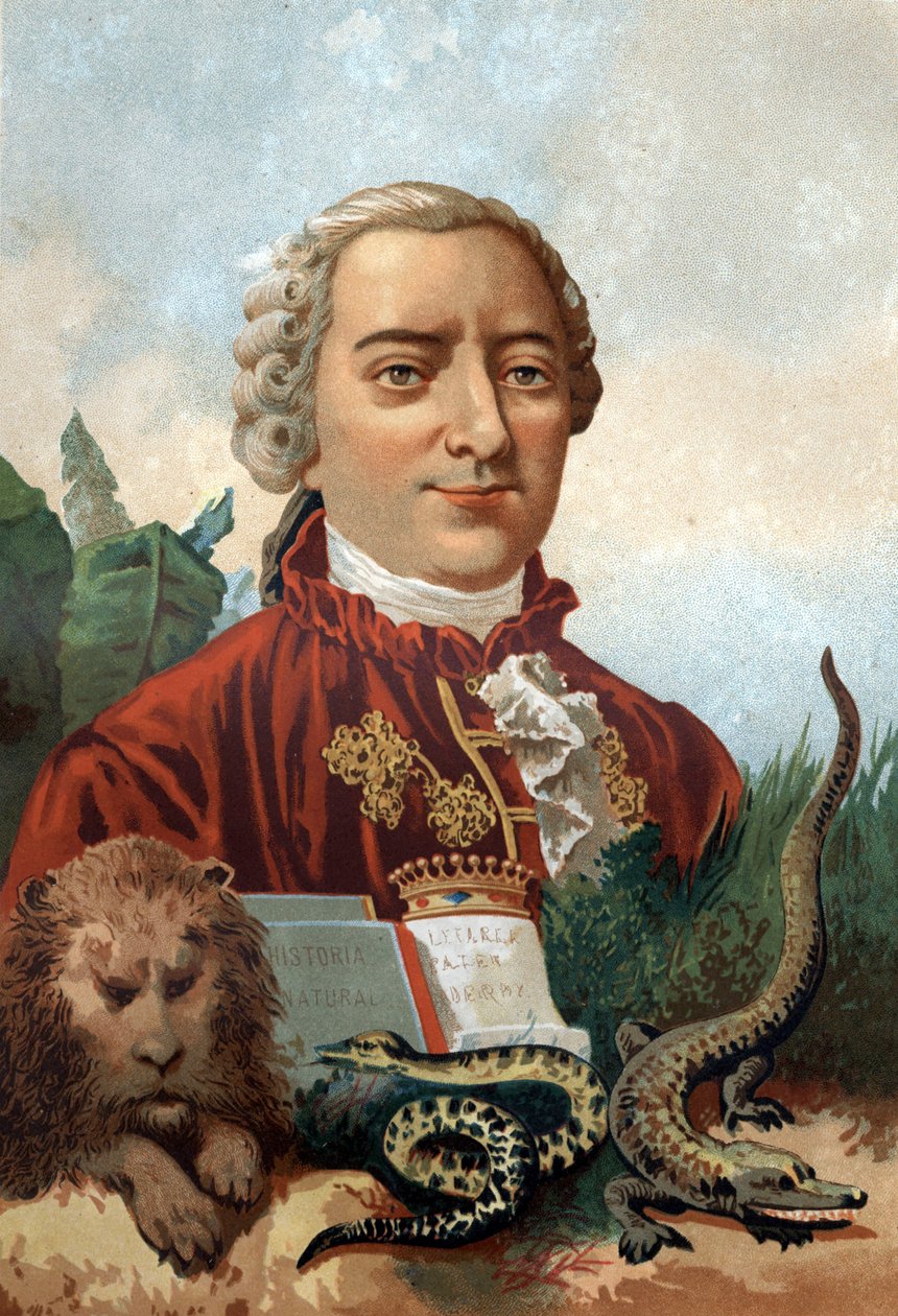 Portrett av Georges Louis Leclerc, greve av Buffon (1707 - 1788), fransk naturforsker og forfatter. Kromolitografi 1800-tallet. etter «Science and its Men»» av Louis Figuier. Barcelona 1881 av Unknown artist