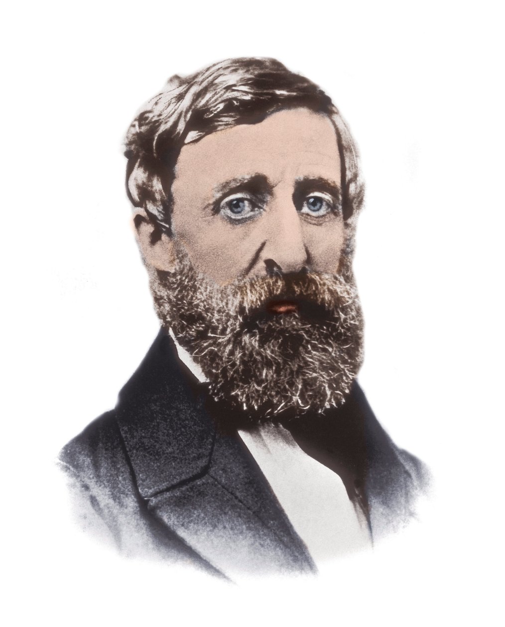 Portrett av Henry David Thoreau (1817-1862) - amerikansk essayist, poet, filosof, avskaffelsesmann, naturforsker, skattemotstander, utviklingskritiker, landmåler og historiker av Unknown artist