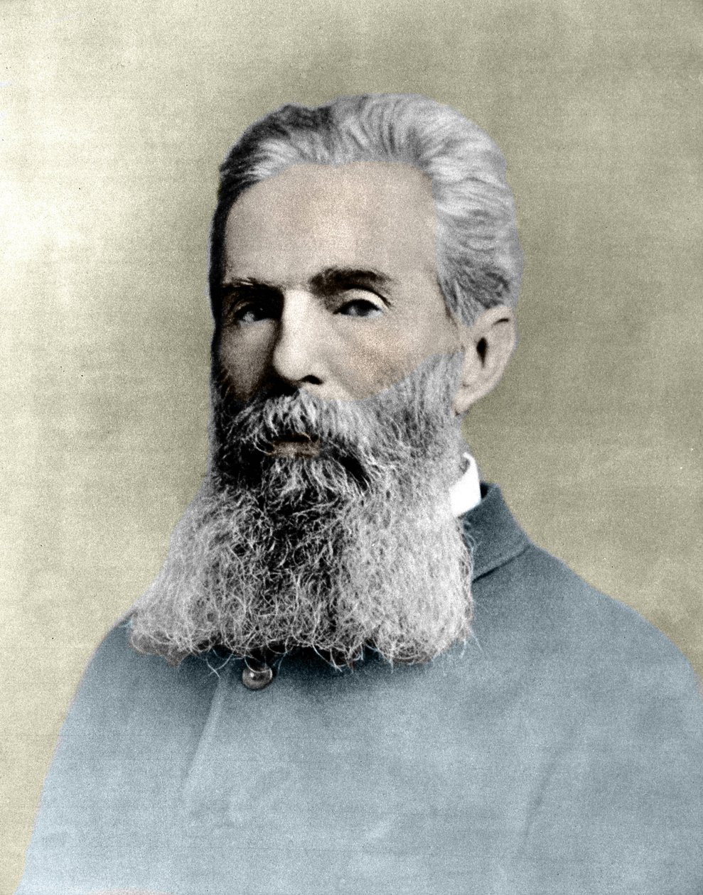Portrett av Herman Melville (1819 -1891) amerikansk forfatter. av Unknown artist