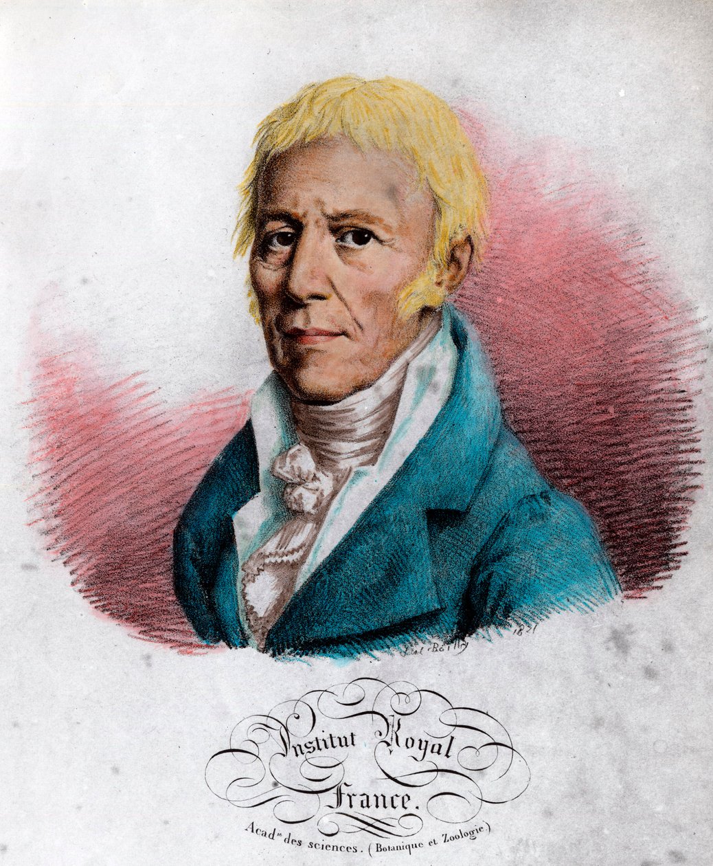 Portrett av Jean Baptiste Lamarck (1744-1829), fransk naturforsker. Gravering fra 1800-tallet. Privat samling. av Unknown artist