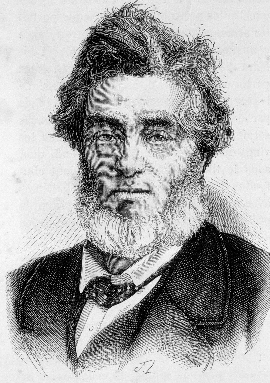 Portrait of Jules Favre (1809 -1880), French politician. av Unknown artist