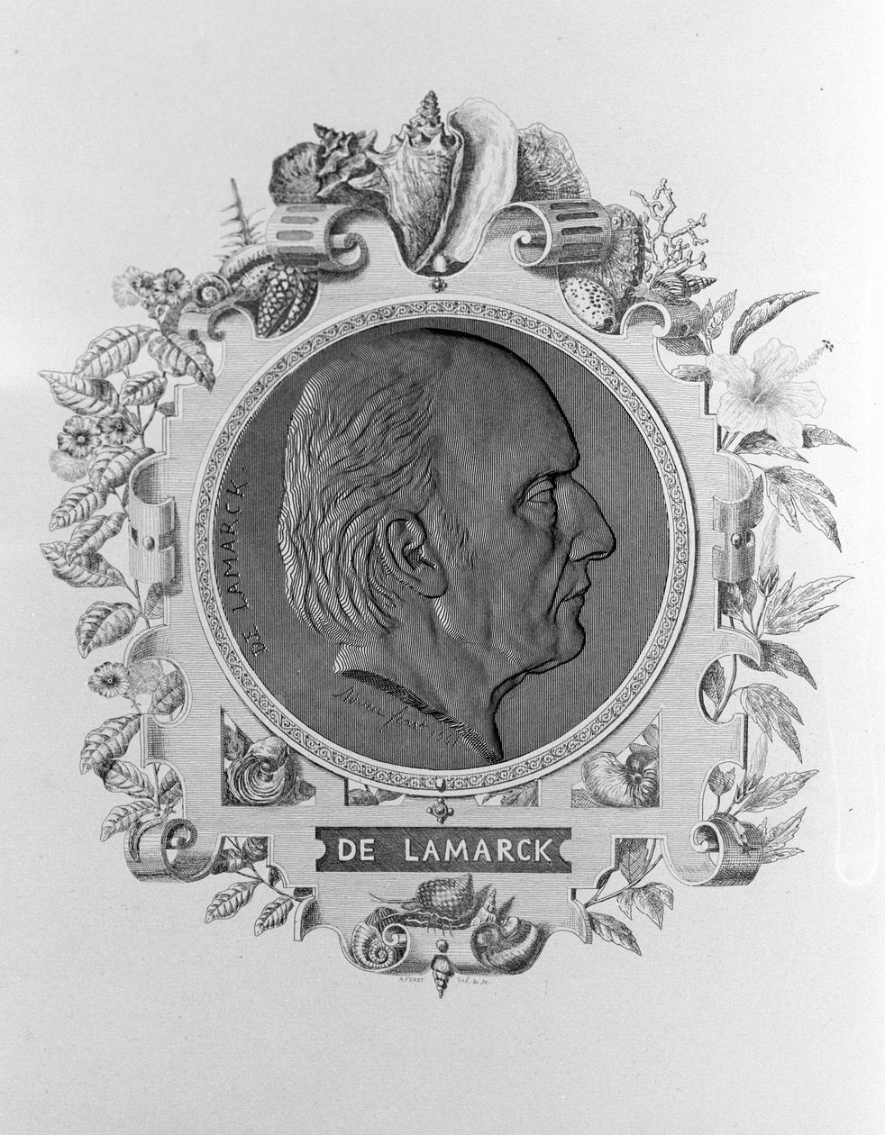 Portrett av Lamarck (1744 - 1829). av Unknown artist