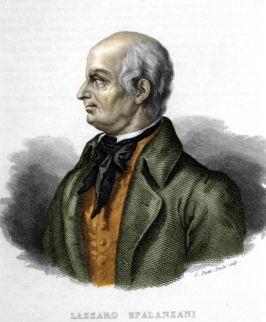 Portrett av Lazzaro Spalanzani (eller Spallanzani), italiensk biolog (1729 - 1799) av Unknown artist