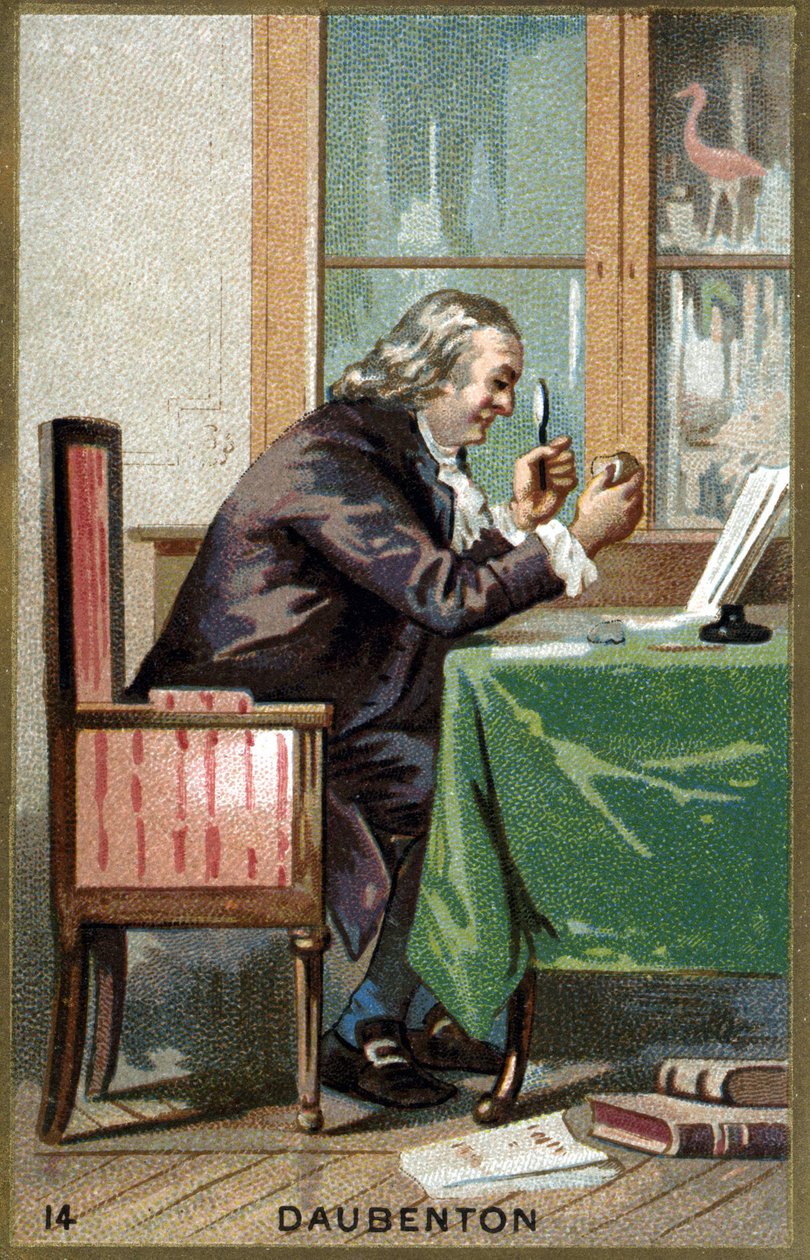 Portrait of Louis Jean Marie Daubenton, dit Daubenton (1716 - 1800), French naturalist. Chromolithography of the 19th century. av Unknown artist