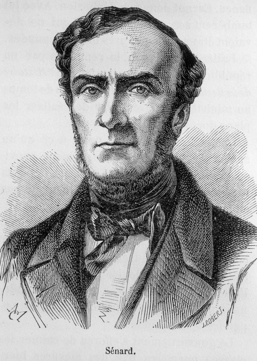 Portrett av Marie Antoine Jules Senard, medlem av Paris Bar, tidligere president for nasjonalforsamlingen og tidligere innenriksminister. Han forsvarte Gustave Flaubert under rettssaken etter Madame Bovarys publisering. Gravering av 1800-tallet. av Unknown artist