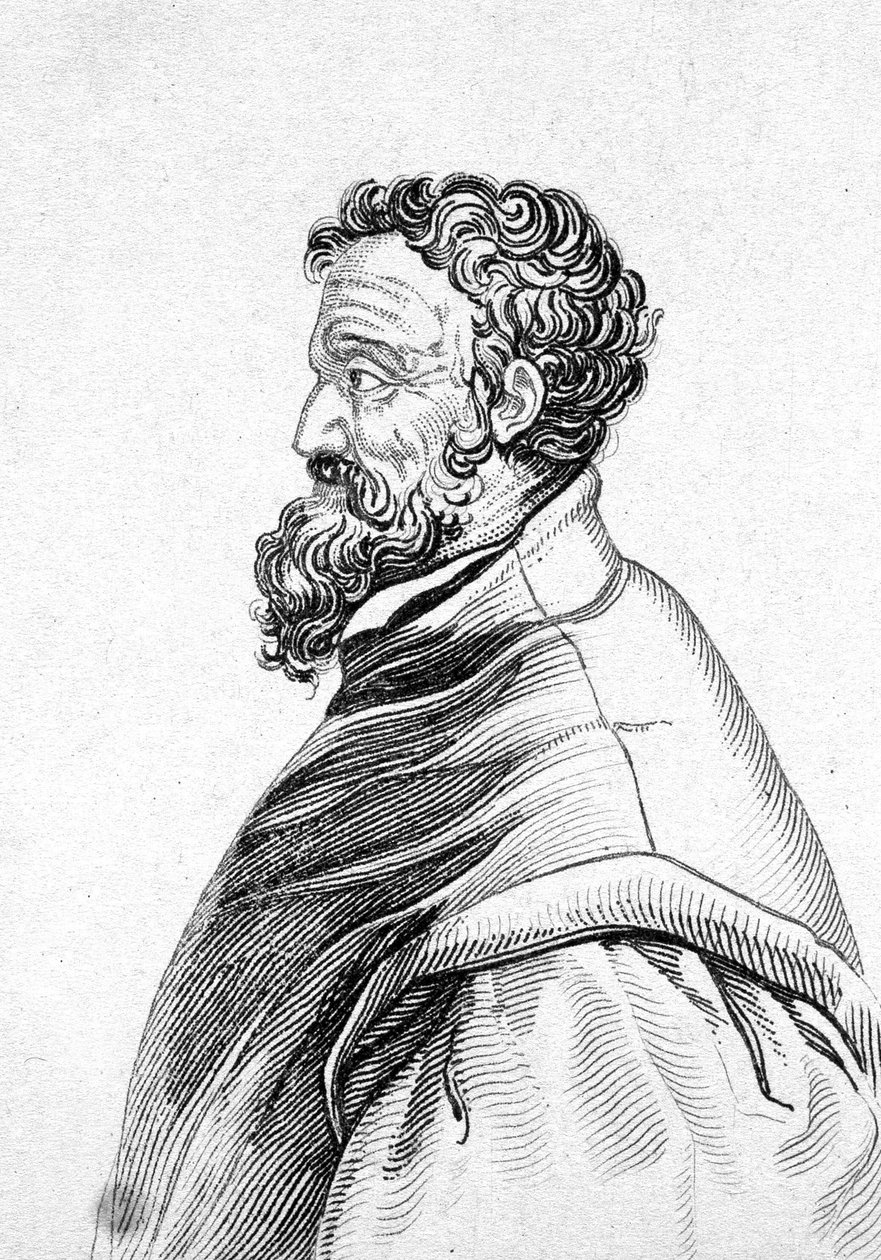 Portrett av Michelangelo Buonarroti dit Michel Ange (Michelangelo eller Michelangelo av Unknown artist
