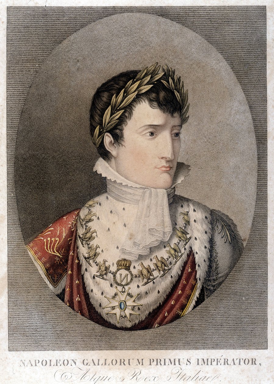 Portrett av Napoleons keiser. av Unknown artist