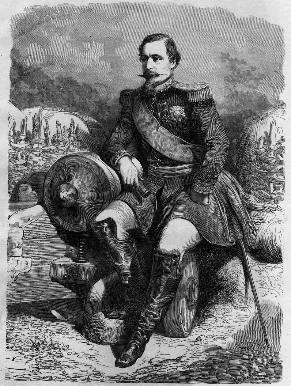 Portrait of Napoleon III (1808-1873), Emperor of the French. av Unknown artist