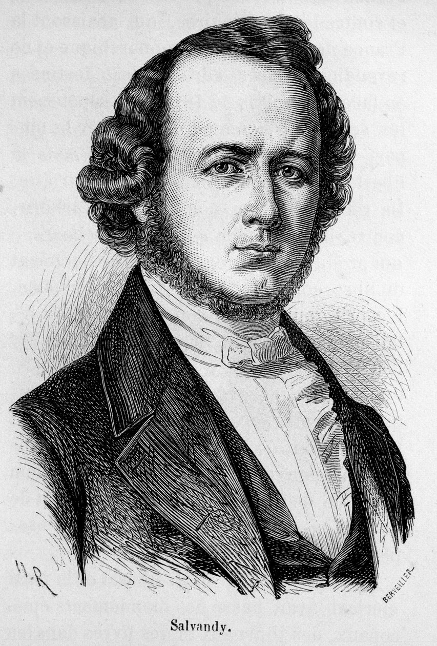 Portrait of Narcissus Achilles, Earl of Salvandy, French politician (1795 - 1856) av Unknown artist