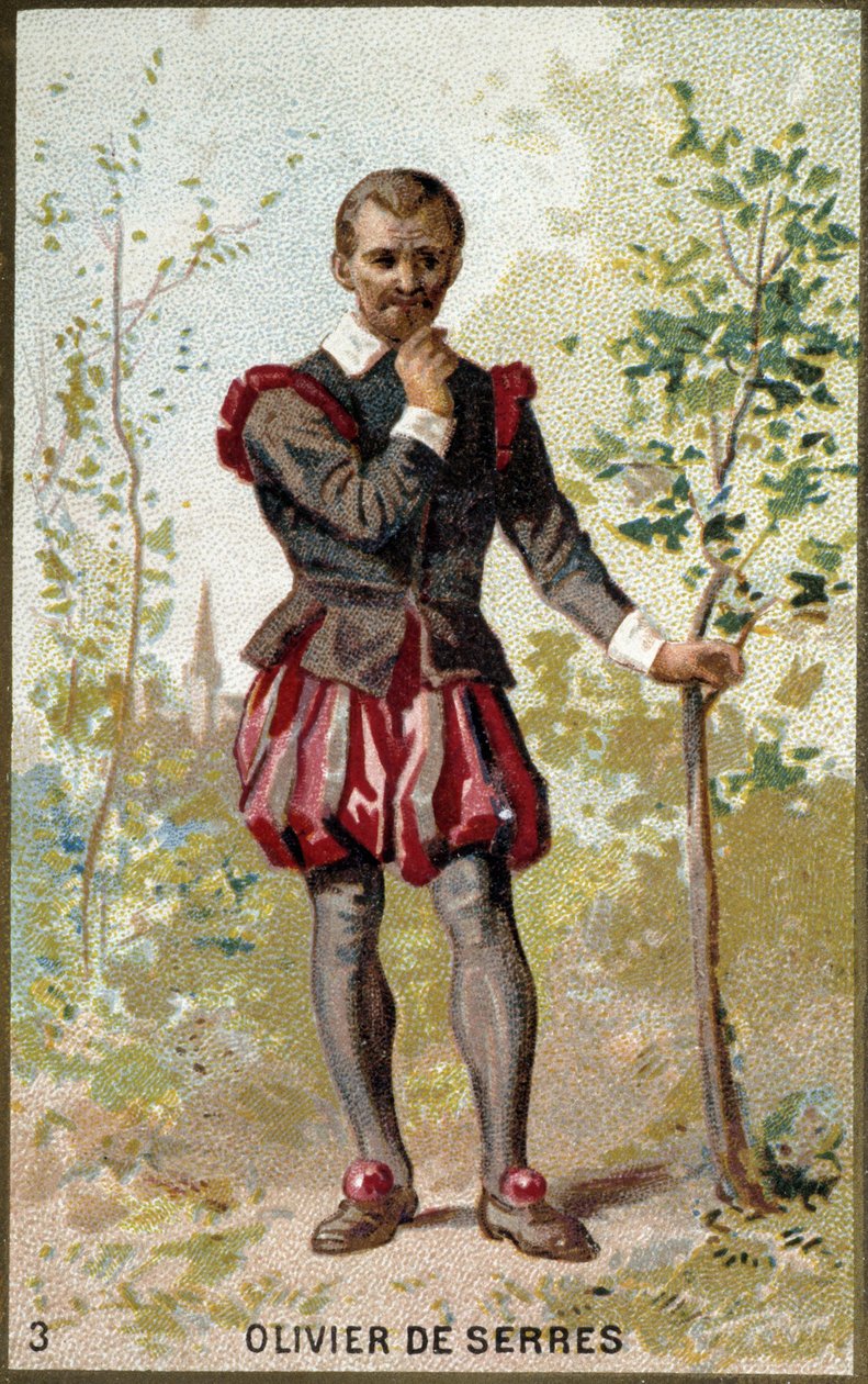 Portrett av Olivier de Serres (1539 - 1619), fransk agronom. 1800-talls kromolitografi. av Unknown artist
