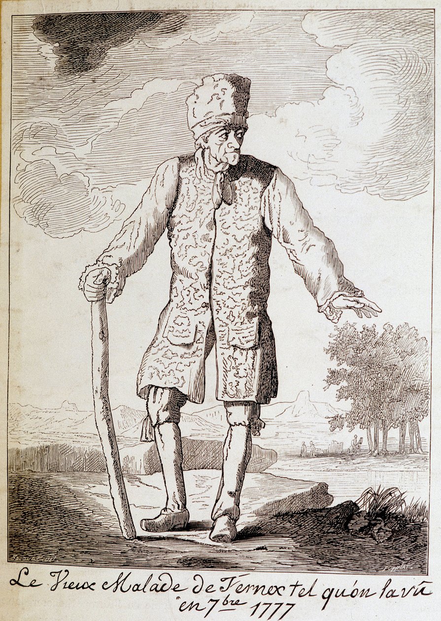 Portrett av Voltaire (1694 - 1778), fransk forfatter og filosof, eldre. av Unknown artist