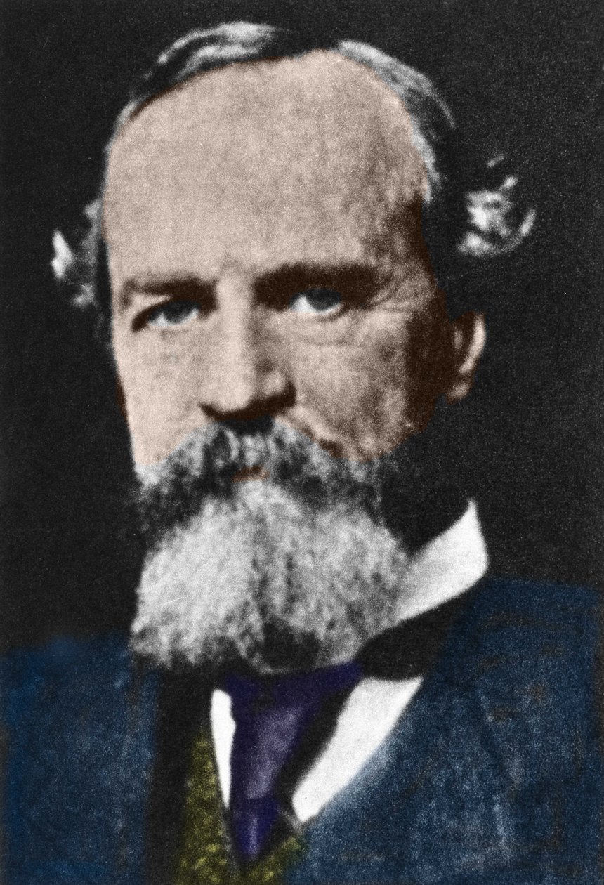 Portrett av William James (1842-1910), amerikansk pragmatistfilosof. av Unknown artist