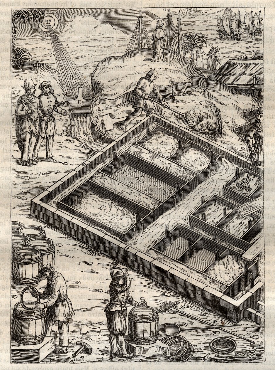 Produsere salt ved å fordampe sjøvann i saltpanner. Fra "" De re metallica"" av Georgius Agricola (Georg Bauer). (Basel 1556) - Saltproduksjon: sjøvann som helles i store boller, fordamper og forlater saltdepot. Gravering fra "&quo av Unknown artist