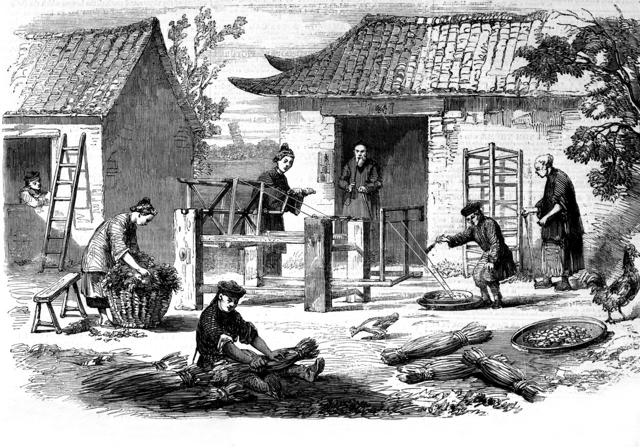Produksjon av silke i Kina og de ulike stadier av produksjon. av Unknown artist