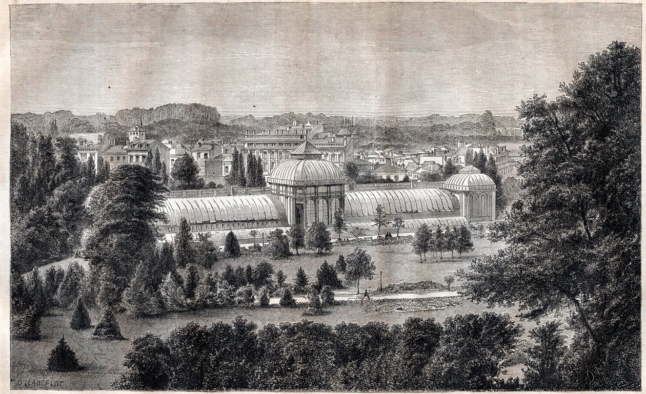 Public garden of Bordeaux - Jardin public - Bordeaux - engraving around 1867 av Unknown artist