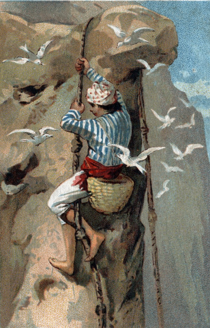 Flytting av salangan-svalereir i Malaysia. Kromolitografi fra slutten av 1800-tallet. av Unknown artist