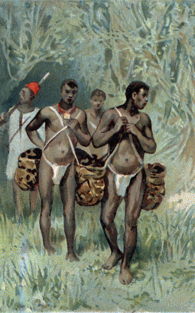 Resoling gummi i Kongo. Kromolitografi fra slutten av 1800-tallet. av Unknown artist