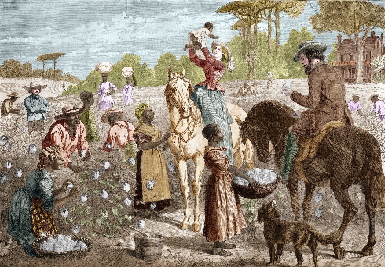 Resirkulert bomull fra et hus i det sørlige USA i 1864. av Unknown artist