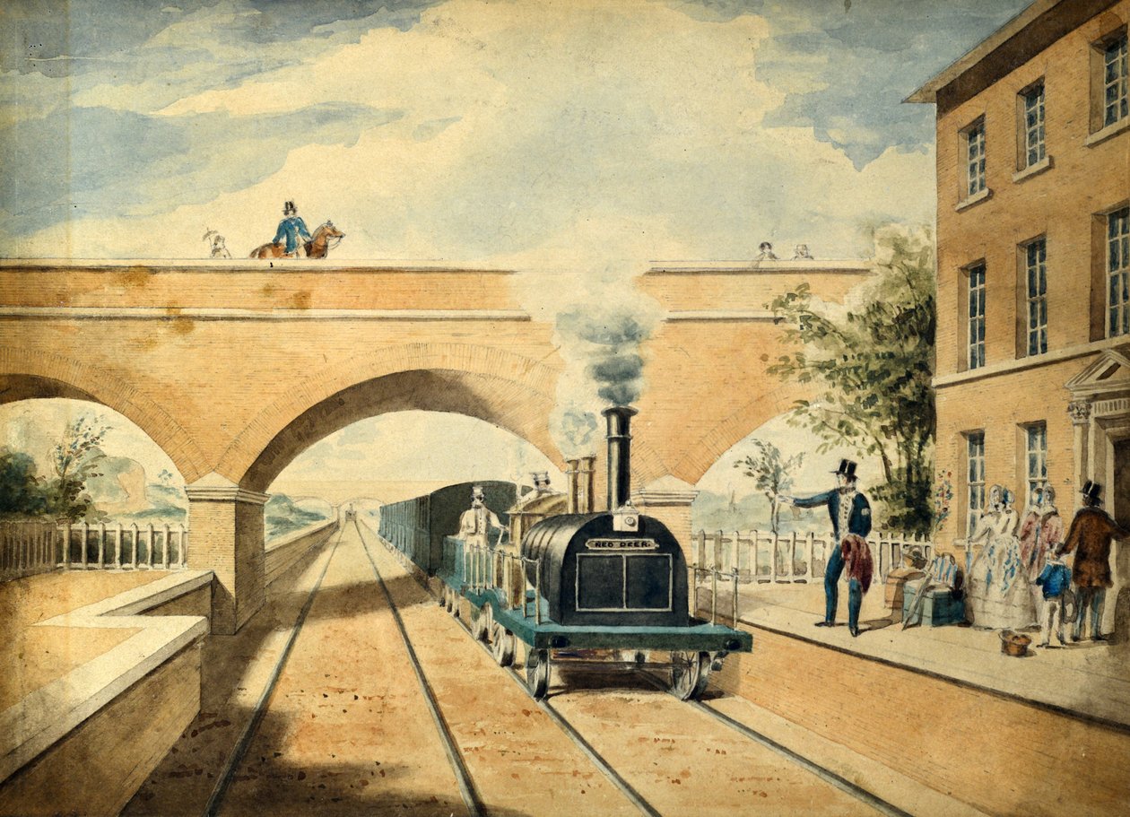 Rød hjort, ca. 1850 (akvarell på papir) av Unknown artist