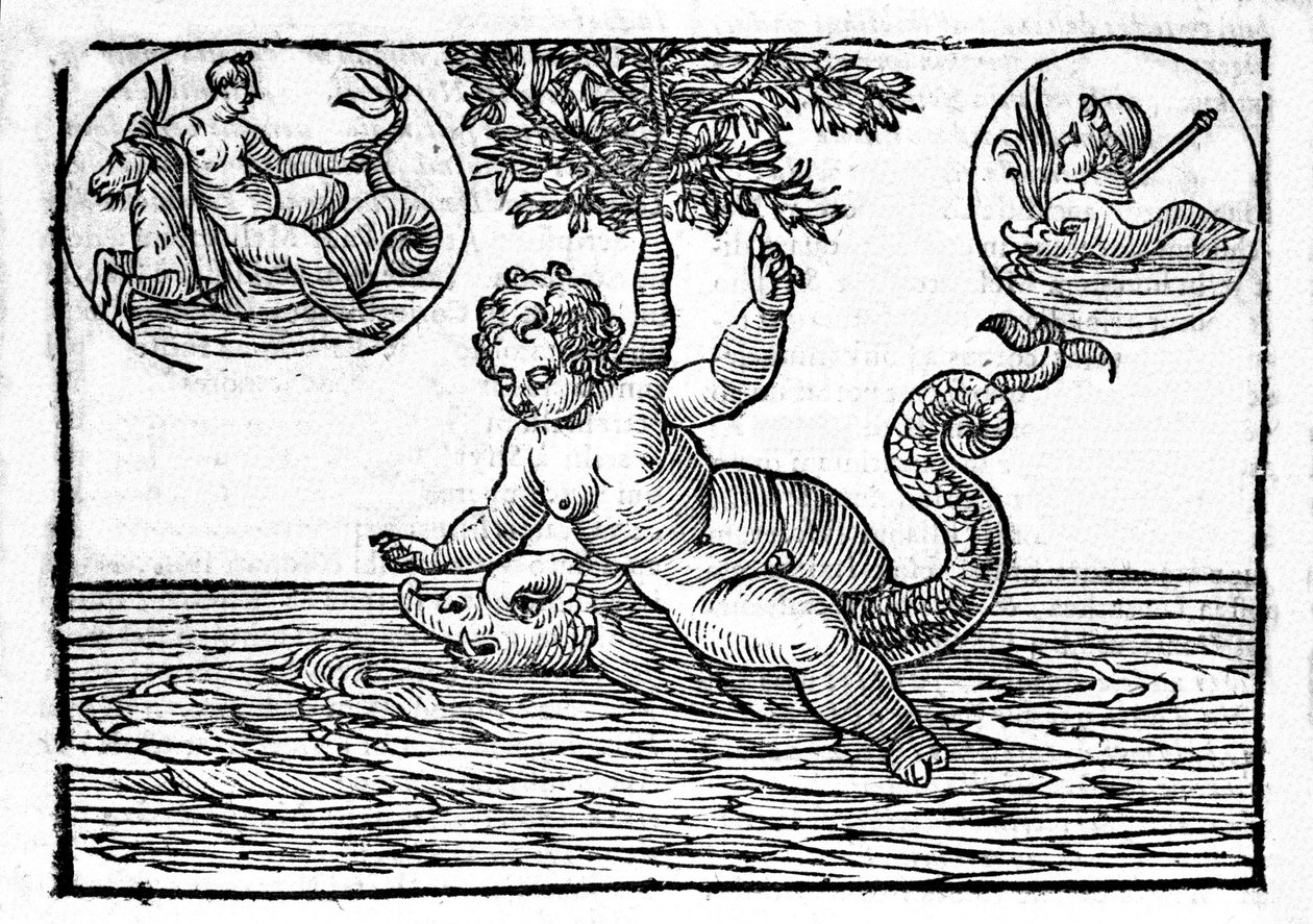 Representasjon av Ino, havets gud, og hans sønn Palemon. Gravering fra "Mythology and Fables" av grev Natalia 1637 av Unknown artist