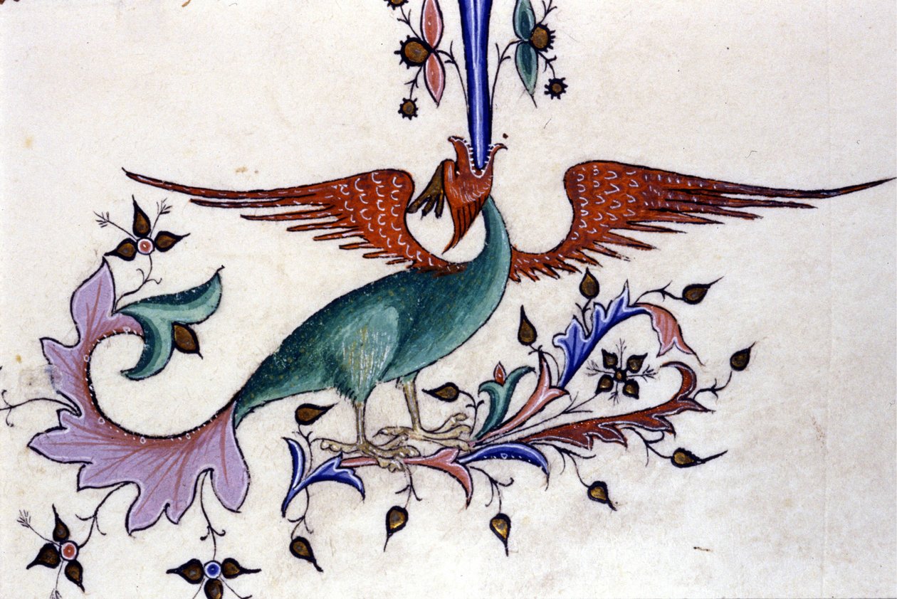 Representasjon av en dragevinge. Miniatyr av et manuskript fra 1300-tallet. Milan, Biblioteca Nazionale Braidense. av Unknown artist