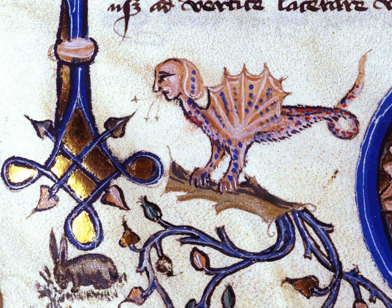 Representasjon av et fantastisk dyr mi man mi drage. Miniatyr av et manuskript fra 1300-tallet av Unknown artist
