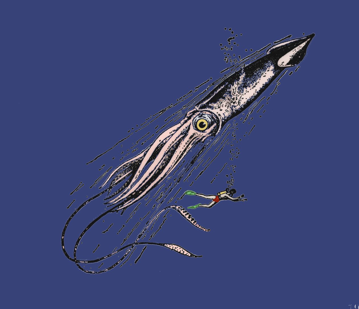Representasjon av en gigantisk blekksprut (Architeuthis) på menneskelig skala. 1800-tallet av Unknown artist