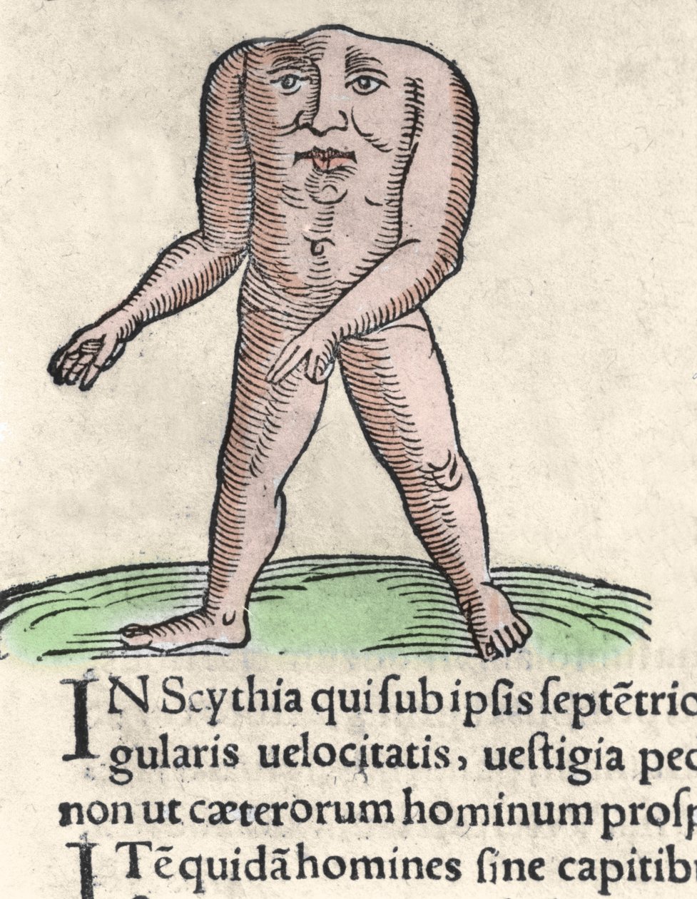 Representasjon av et medlem av Blemmyi-stammen i Nubia, beskriver uten hode, uten nakke og ansikt på stammen til Plinius den tidligere gravering fra "Prodigiorum ac ostentorum chronicon"" av Conrad Lycosthenes (1518-1561). 1557. av Unknown artist