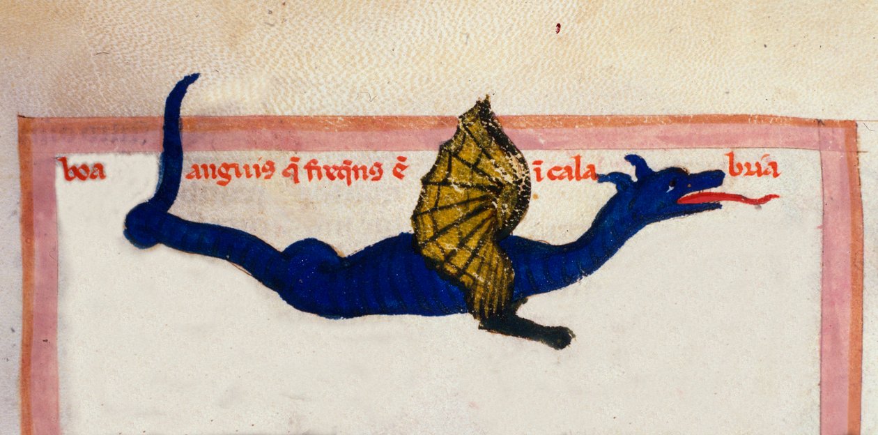 Representasjon av en miniatyrvingedrage hentet fra "" Cosmographia"" av Julius Solinus av Unknown artist