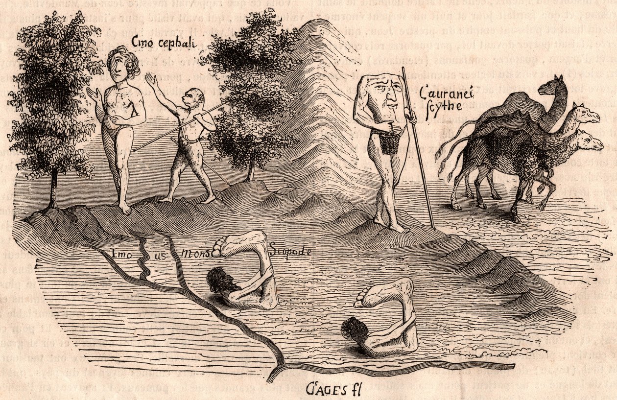 Representasjon av middelalderstammer og dyrearter: Monocules, Blemmys, Sciopodes og kameler av Unknown artist