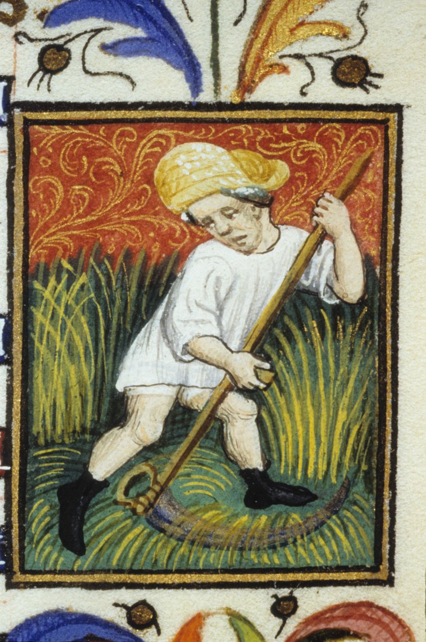 Representasjon av juni måned. En bonde som klipper grønn hvete. Miniatyr av et manuskript fra 1300-tallet. av Unknown artist