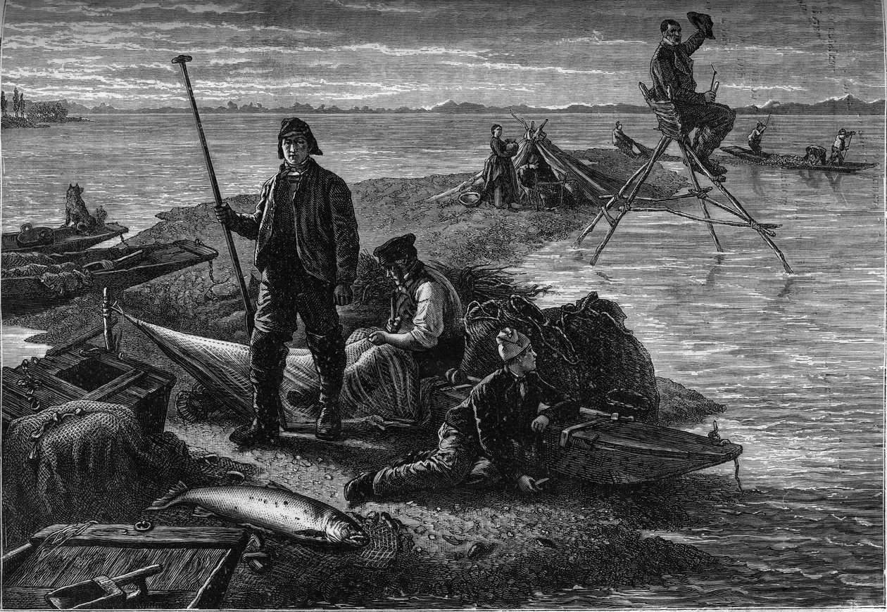 Return of salmon fishing on the banks of the Rhine. Engraving in the journal “La jeunesse av Unknown artist