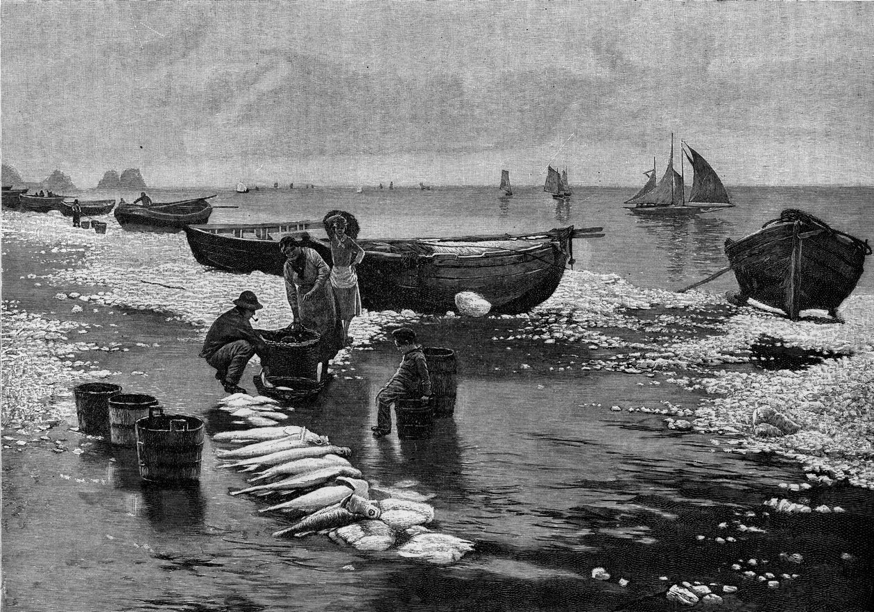 Return of the fishermen on the strike at Belle Isle (Belle-Isle) in Brittany. Engraving in “” Le Journal de la jeunesse”” av Unknown artist