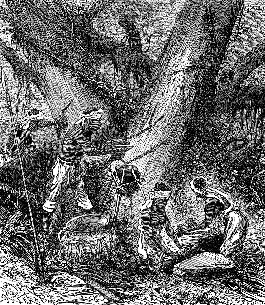 Gummihøsting i Malaysia-skogen (gravering av Unknown Artist