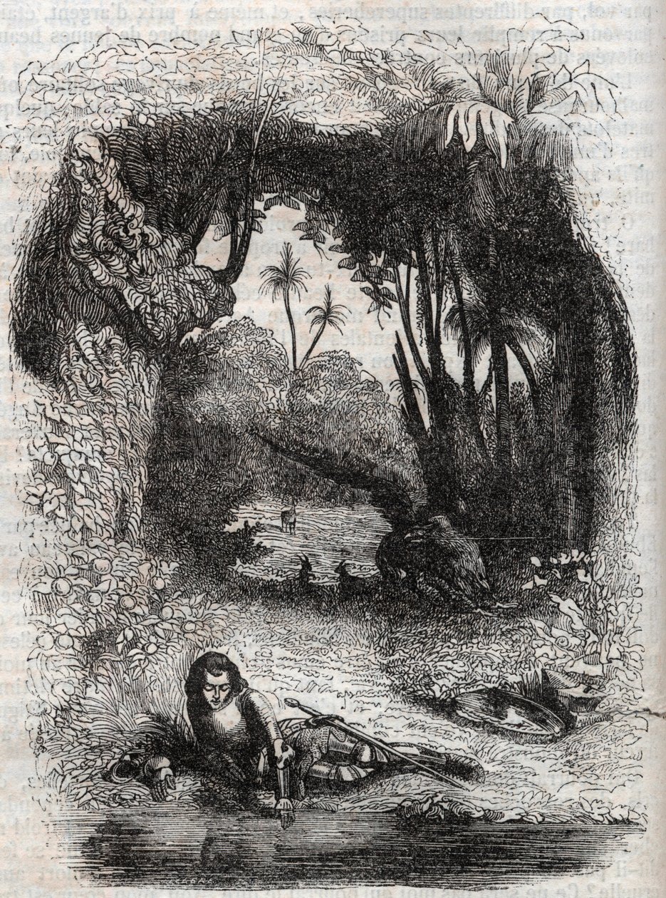 Ruggiero on the island of Alcina, - 1851 engraving from the poem Orlando furioso (1516) by Ludovico Ariosto, - Edition translated from Italian by the Count of Tressan and published by Gustave Harvard 1851 av Unknown artist