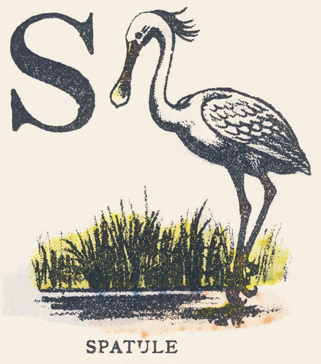 S: slikkepott av Unknown artist