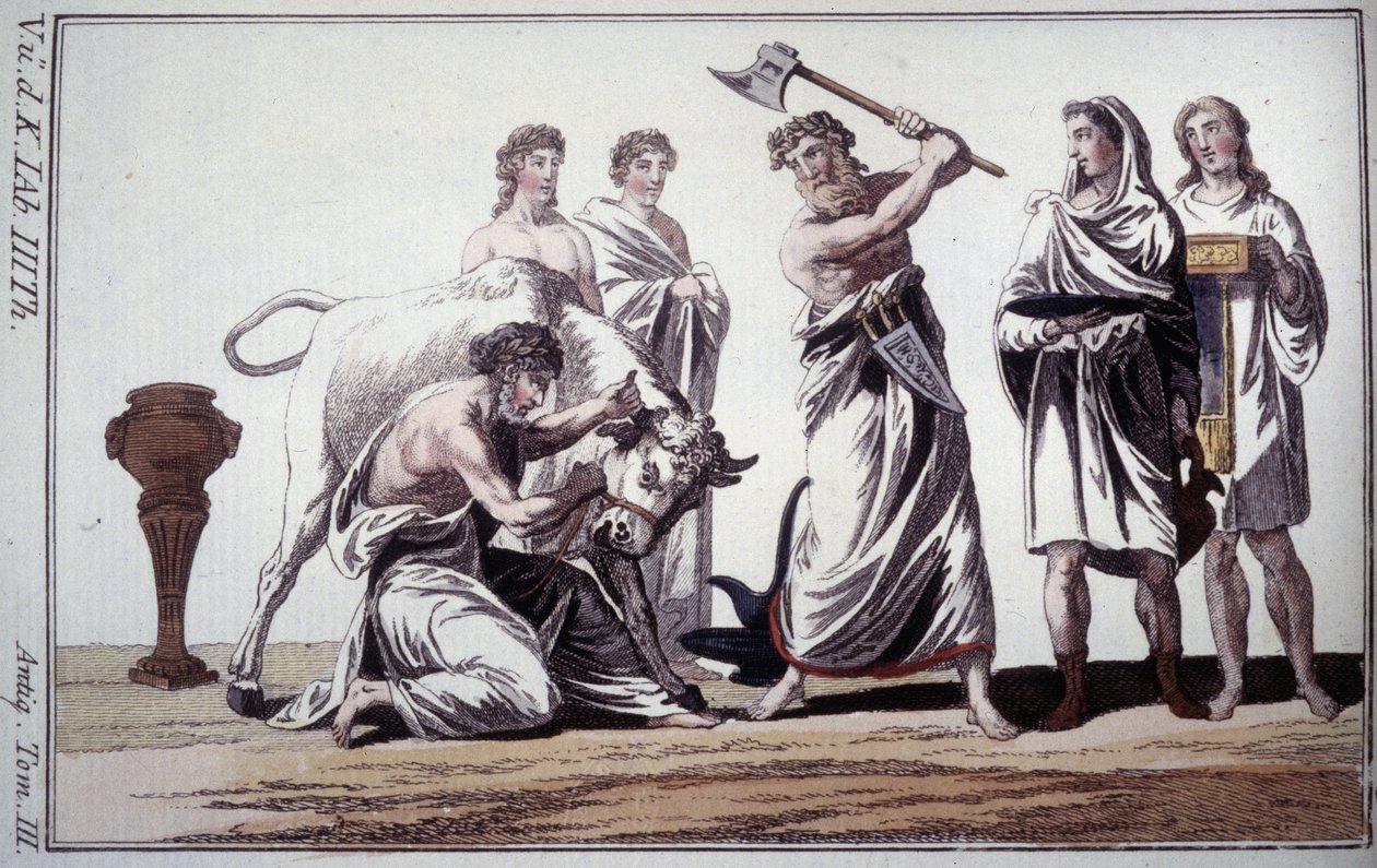 Ofring av en okse. Skikke i romersk antikken. Gravering tidlig på 1800-tallet. av Unknown artist