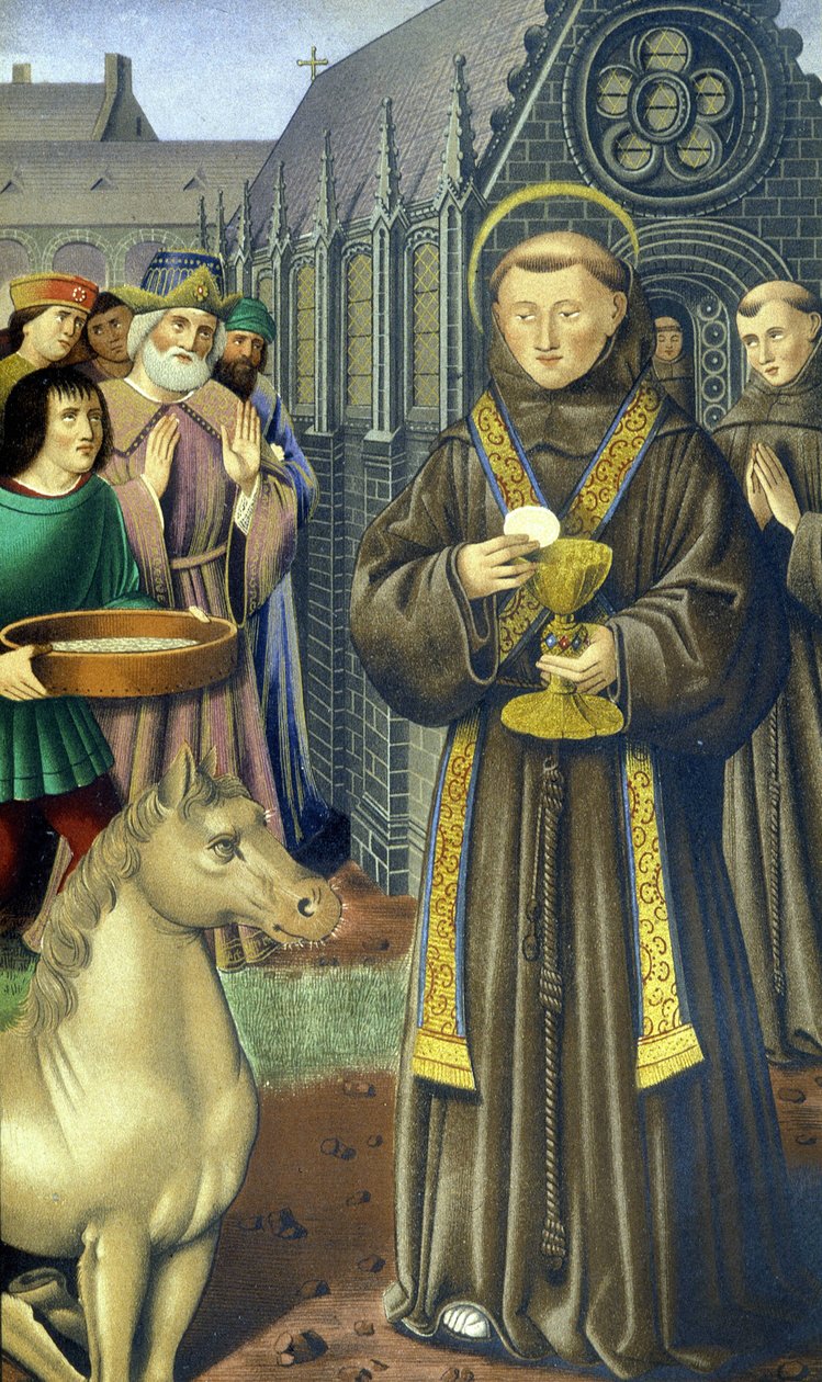 Sankt Antonius av Padova (san antonio di padova) - ifølge timeboken til Anne av Bretagne av Unknown artist